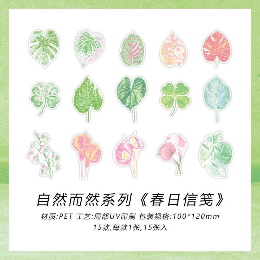 Natural Series PET Sticker Pack 4 Types 15 Pcs