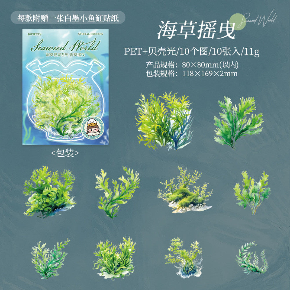 Ocean Landscape Shell Light  PET Stickers 4 Types 10 Pcs
