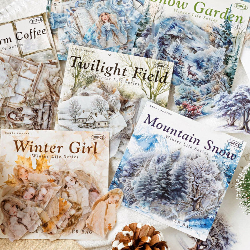 Winter Life Series PET Stickers 30 Sheets 6 Options image 1
