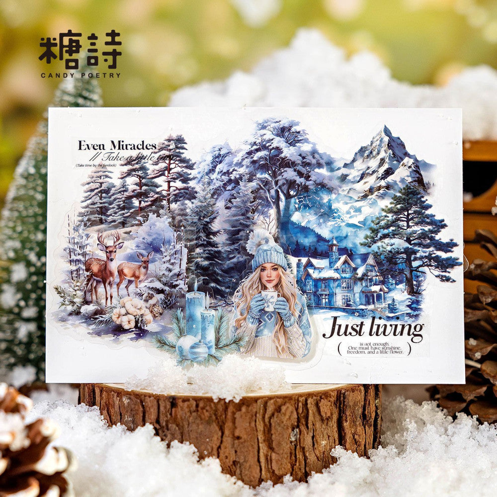 Winter Life Series PET Stickers 30 Sheets 6 Options image 2