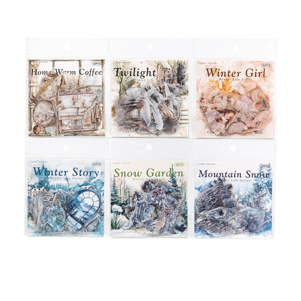 Winter Life Series PET Stickers 30 Sheets 6 Options image 4