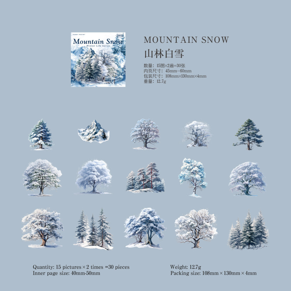 Winter Life Series PET Stickers 30 Sheets  6 Options