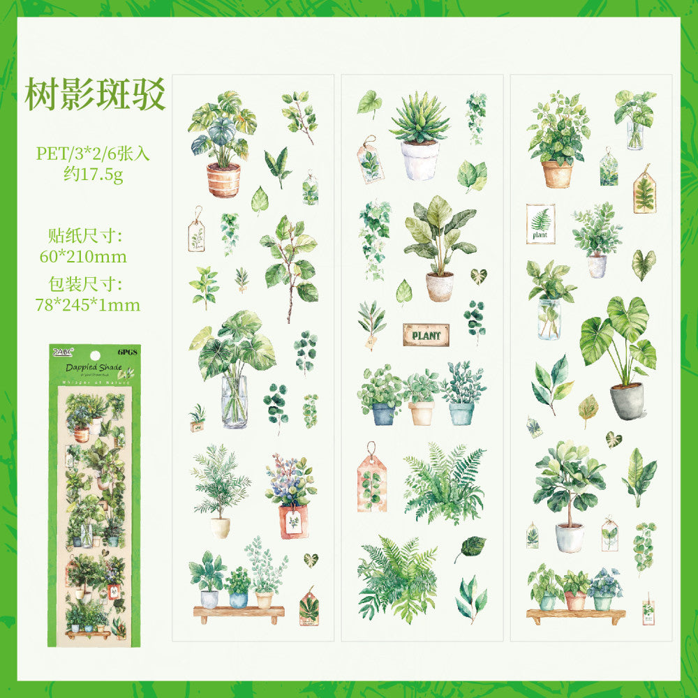 Natural Time Series PET Stickers 4 Types 6 Sheets