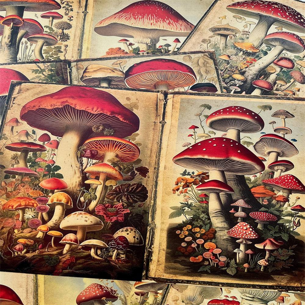 Retro Mushroom Background Paper 14cm 18cm 10 Sheets image 2