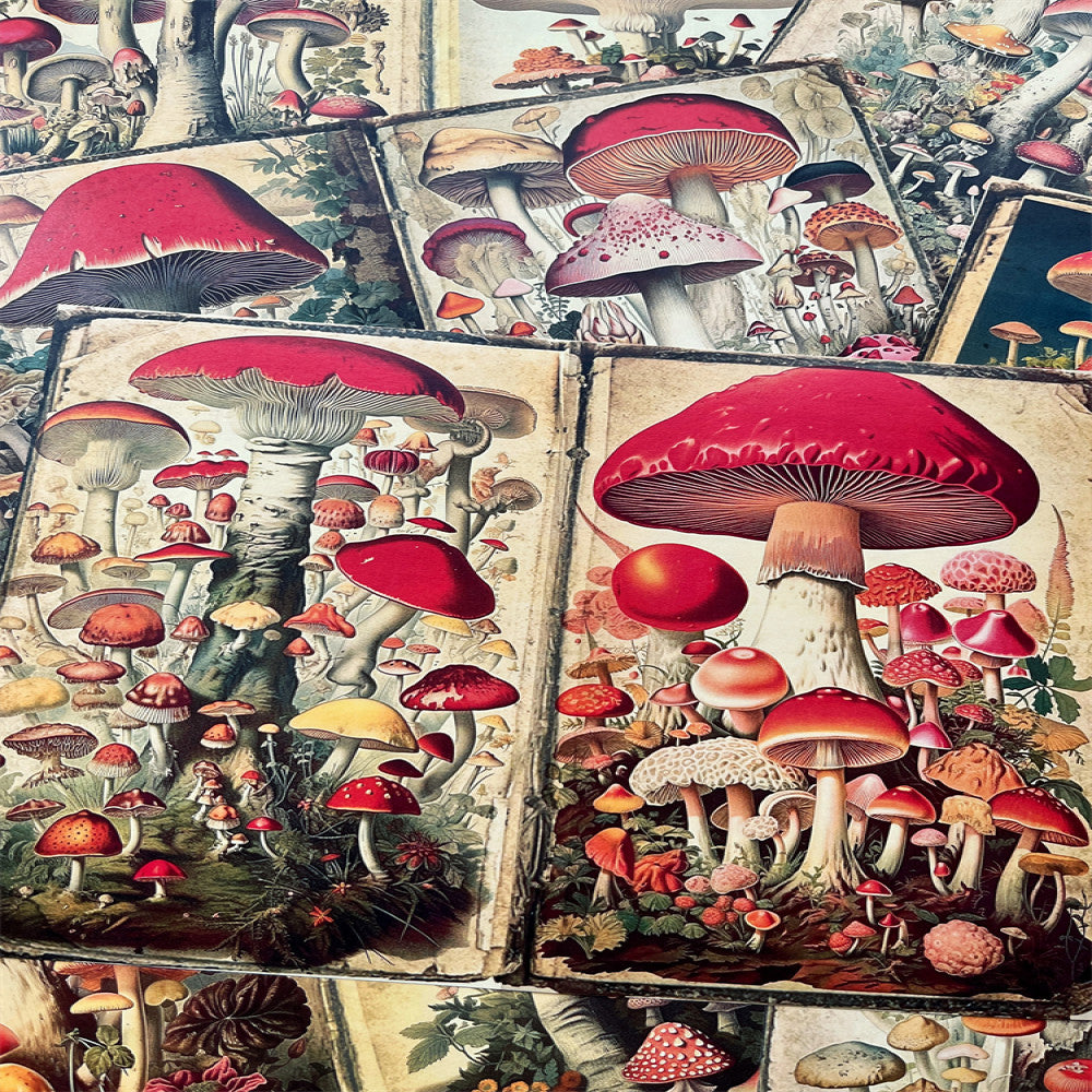 Retro Mushroom Background Paper 14cm 18cm 10 Sheets image 3