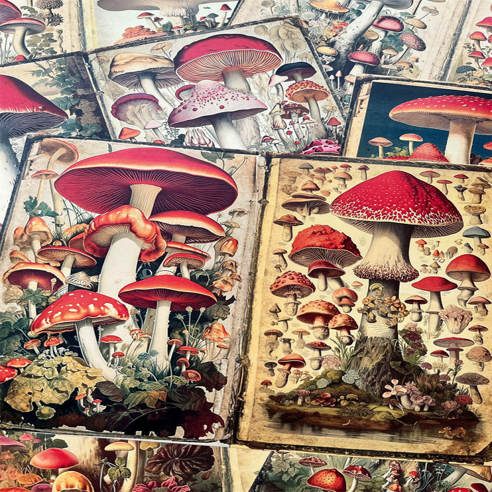 Retro Mushroom Background Paper 14cm 18cm 10 Sheets image 4