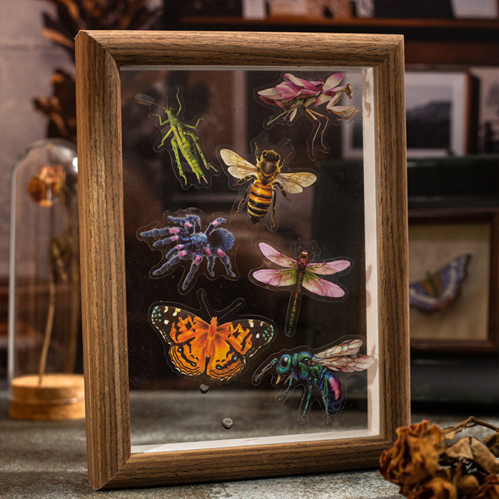 Nature Illustration Series PET Sticker Pack 4 Types 25 Pcs image 2
