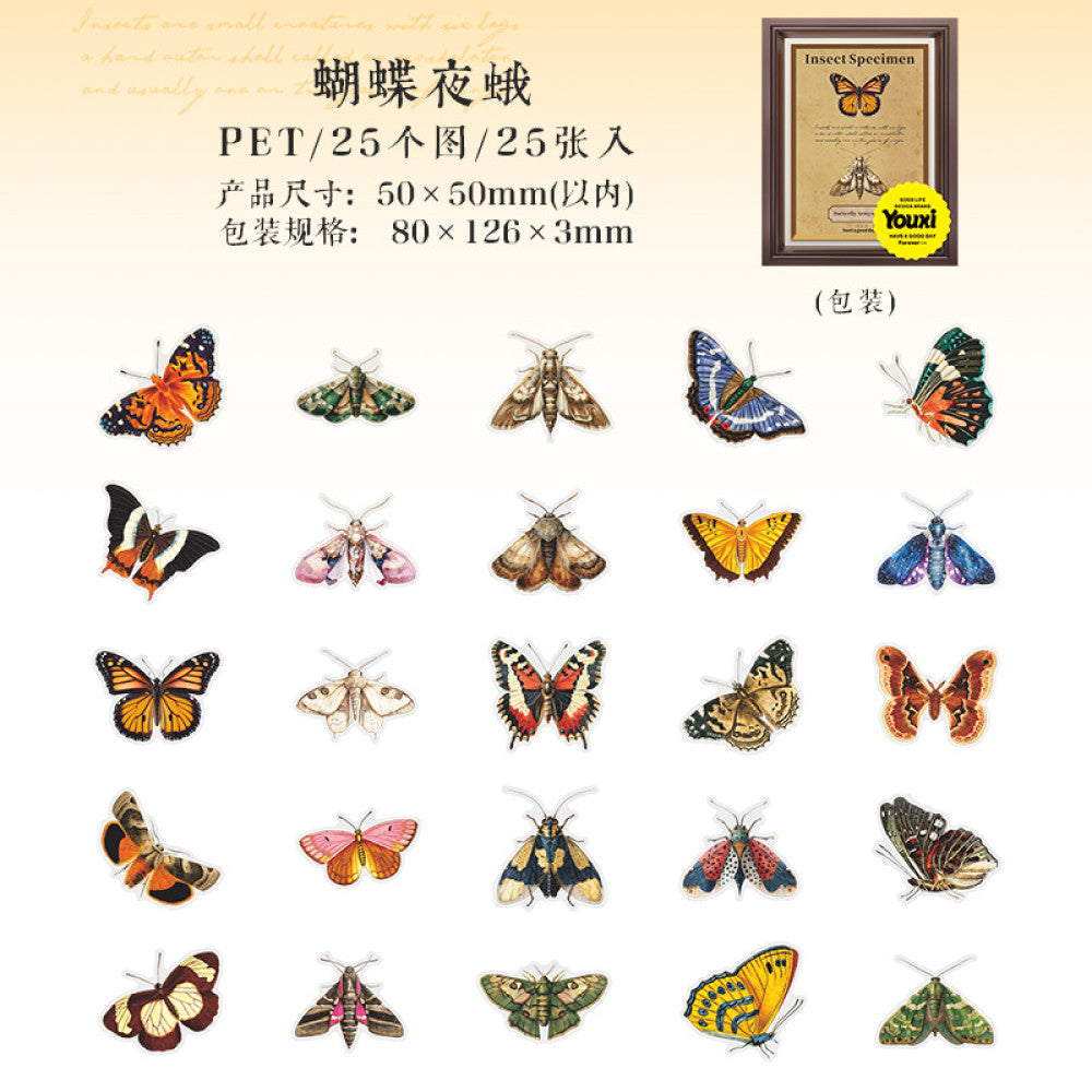 Nature Illustration Series PET Sticker Pack 4 Types 25 Pcs image 5