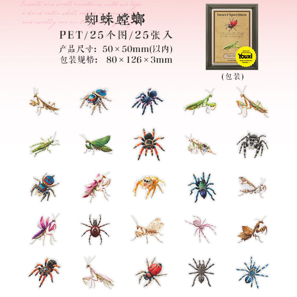 Nature Illustration Series PET Sticker Pack 4 Types 25 Pcs image 6