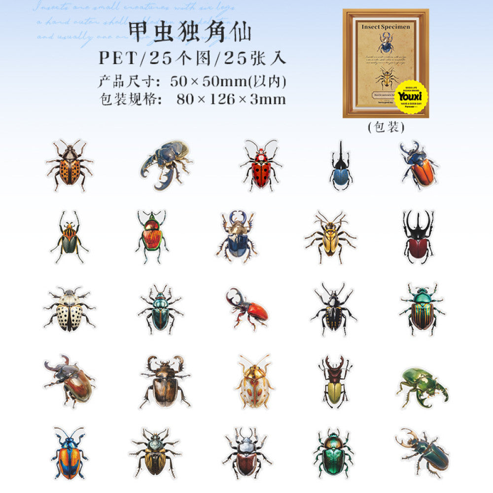 Nature Illustration Series PET Sticker Pack 4 Types 25 Pcs image 7