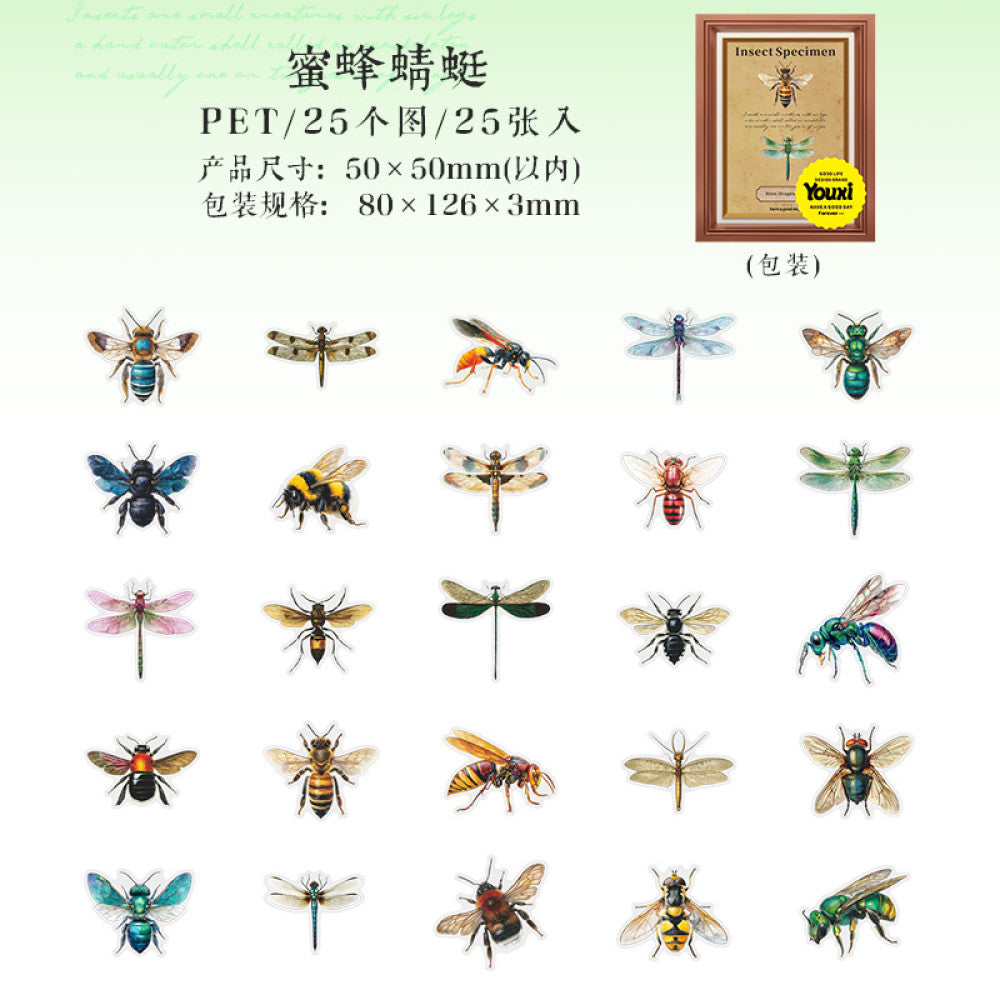 Nature Illustration Series PET Sticker Pack 4 Types 25 Pcs image 8