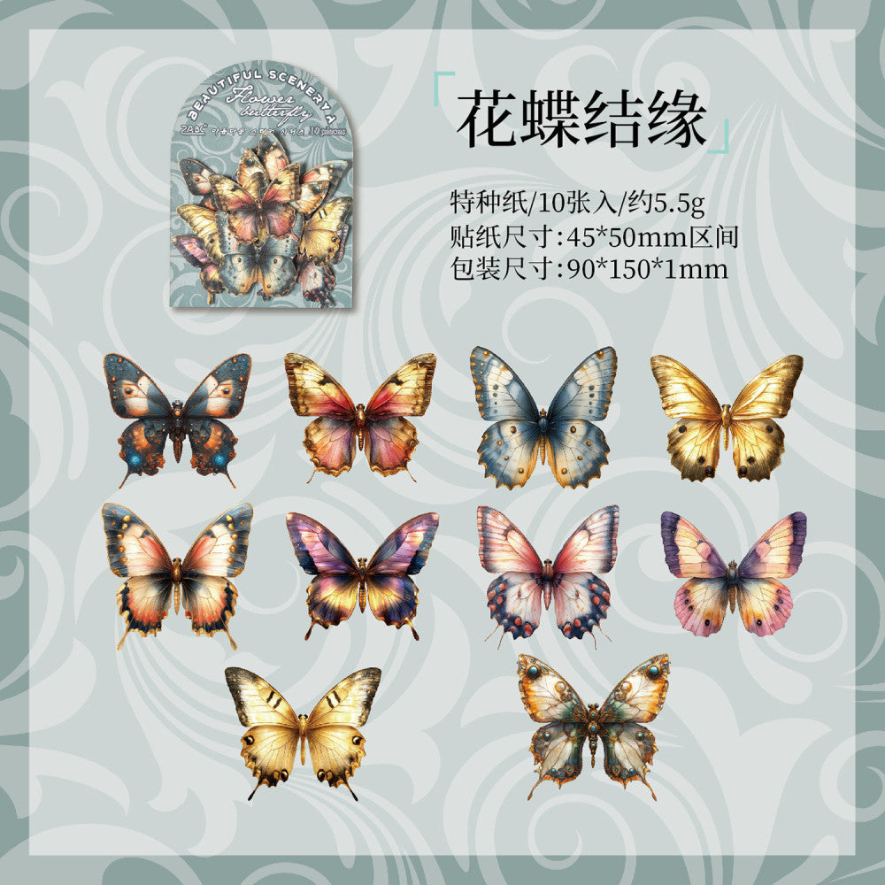 Splendid Series Paper Stickers  6 Types 10 Pcs