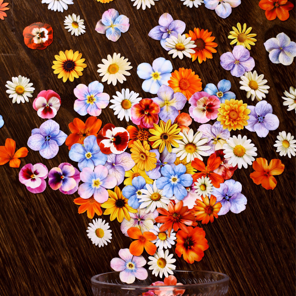 Retro Story Sticker Pack 6 Sets of 25 Hand painted Floral Theme Notebook DIY Decorative Stickers image 0