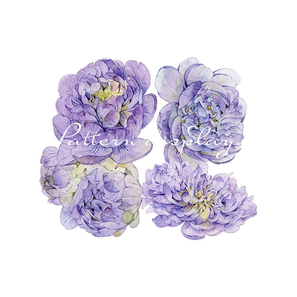 Special Purple Peony PET Tape 6cm 3m image 2