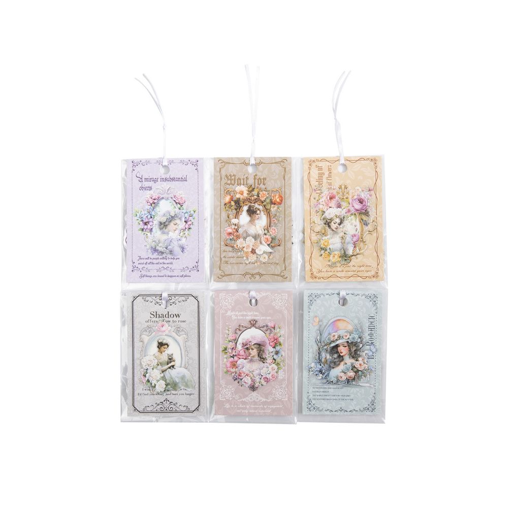 Mirror Series 6 Character Border PET Stickers 6 Styles image 4