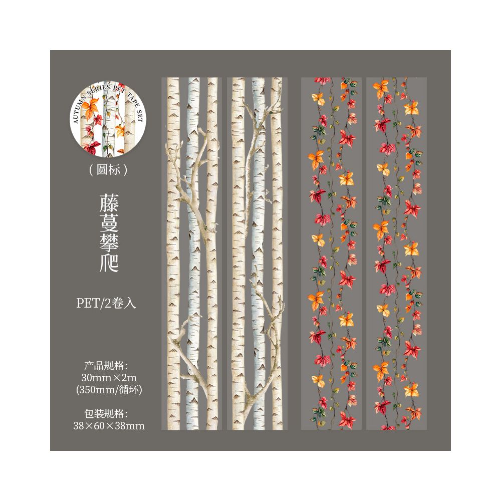 Autumn Colors Series 4 styles PET Tape 3cm / 2m
