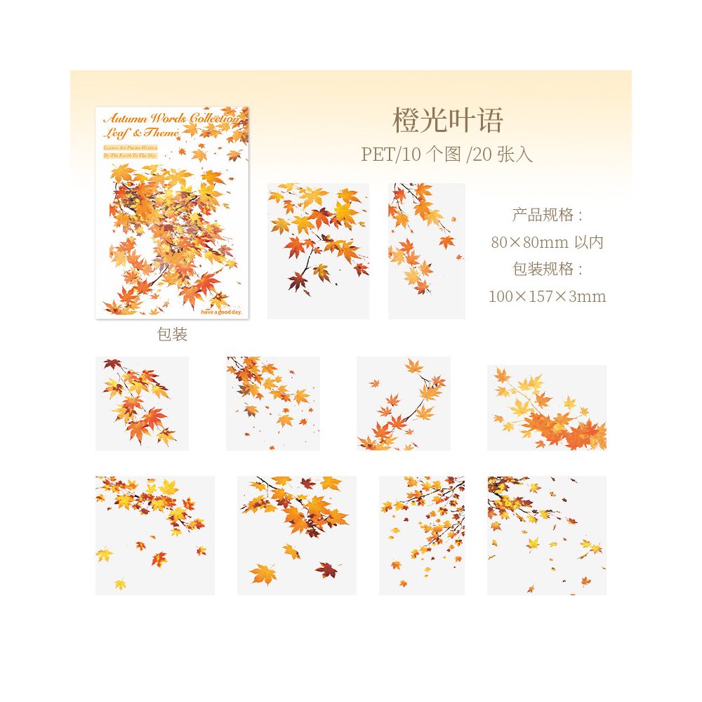 Autumn Words Collection Series Leaf PET Stickers 20 Pcs
