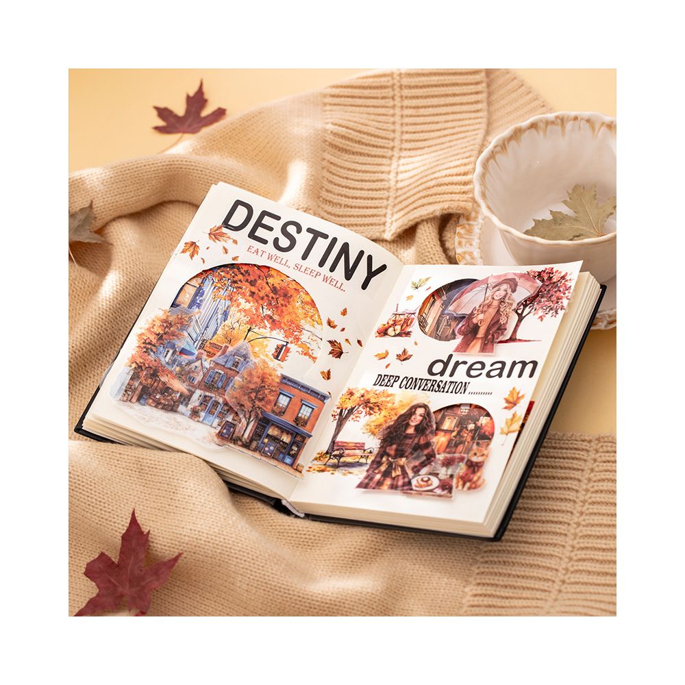Paris Autumn Series Dual Material Sticker Book 6 Styles image 3