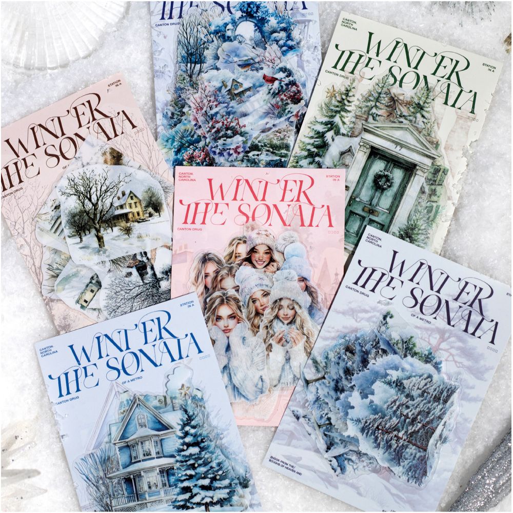 Winter Sonata series PET Stickers 30 sheets 6 types image 1