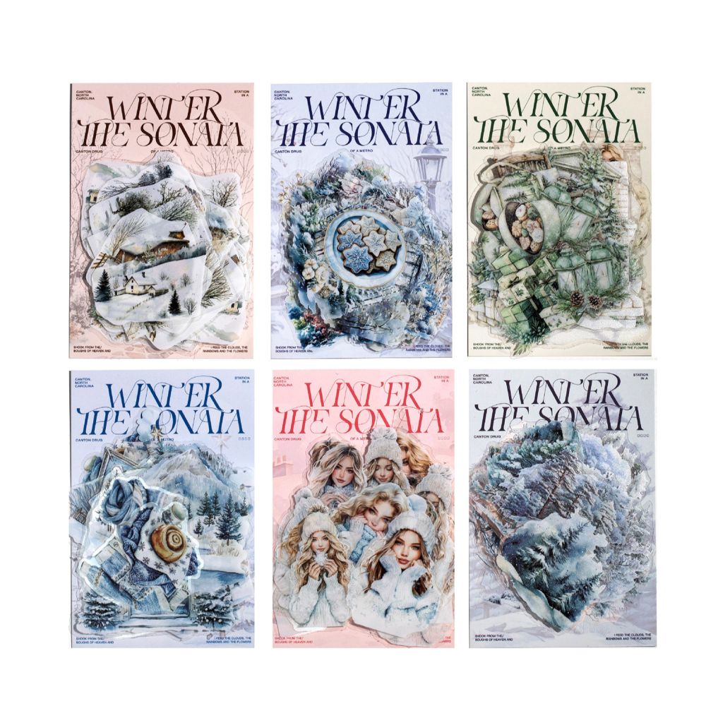 Winter Sonata series PET Stickers 30 sheets 6 types image 4