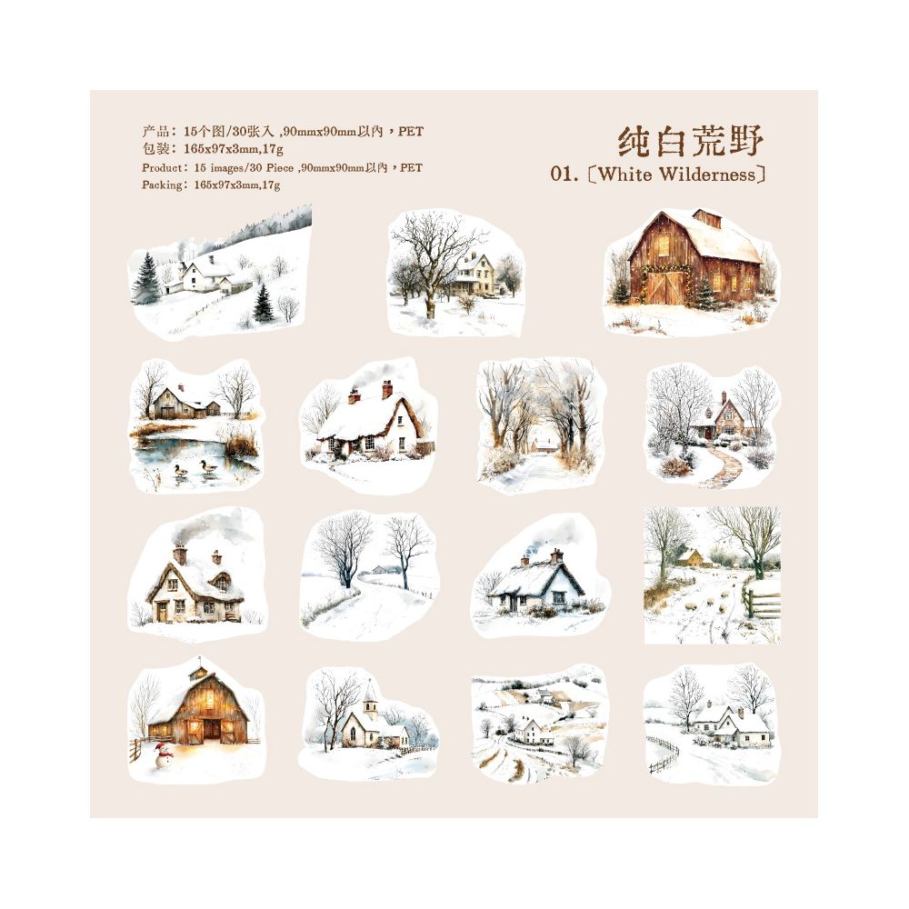 Winter Sonata series PET Stickers 30 sheets 6 types