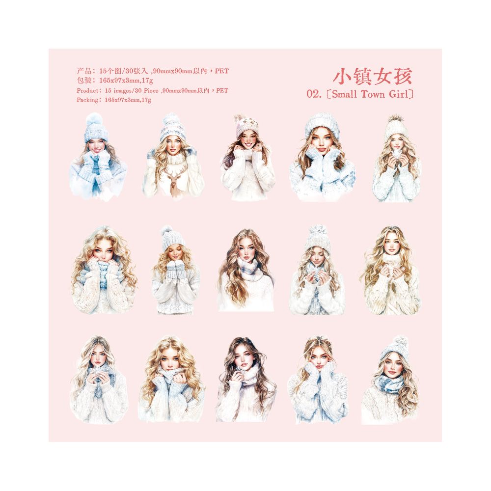 Winter Sonata series PET Stickers 30 sheets 6 types image 6
