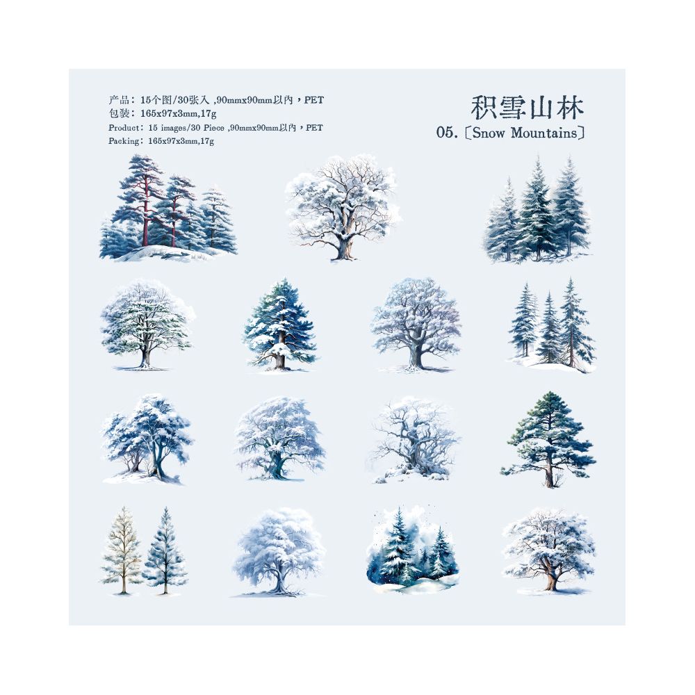 Winter Sonata series PET Stickers 30 sheets 6 types