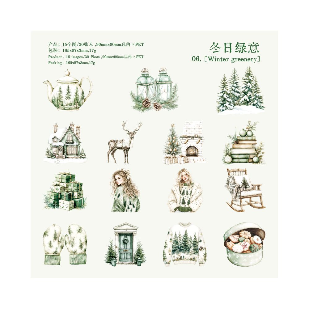 Winter Sonata series PET Stickers 30 sheets 6 types image 10