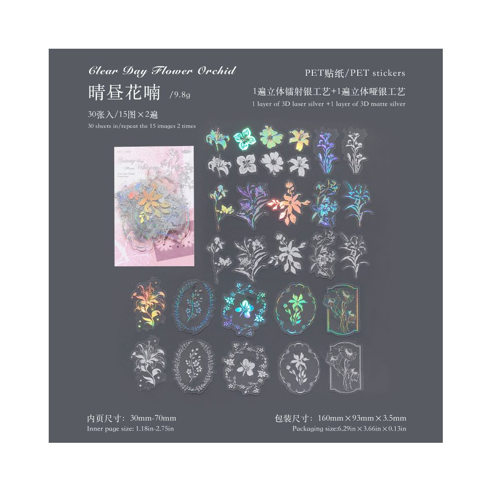 Dream Series Original Literary Silver Material 3D PET Stickers 6 types 30 Sheets