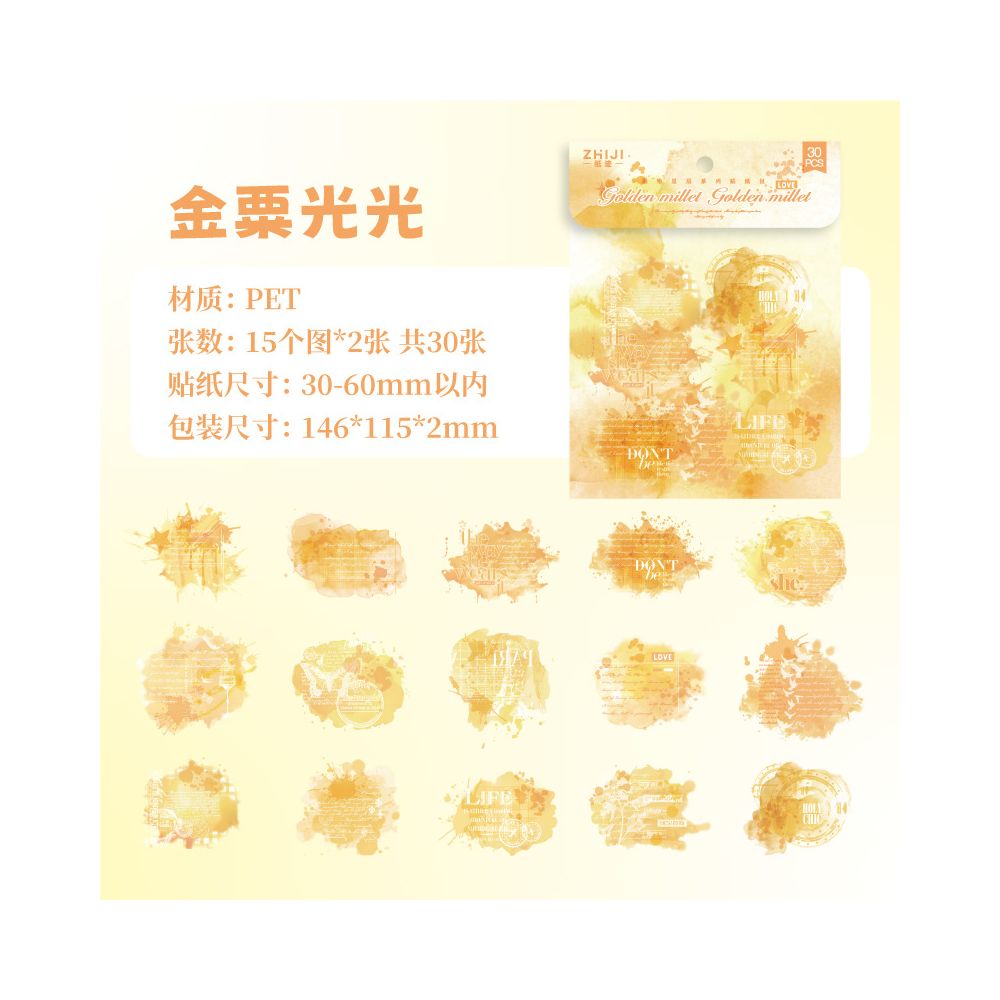Paper Trace PET White Ink  PET Sticker Pack 6 Styles 30 Pcs