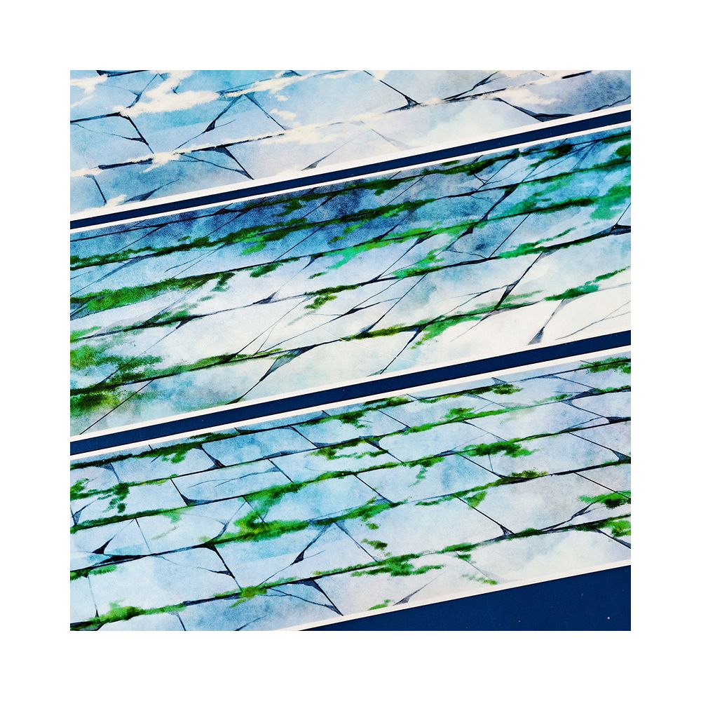 Double Season Weaving Scenery Ground PET Tape 5cm x 1m image 0
