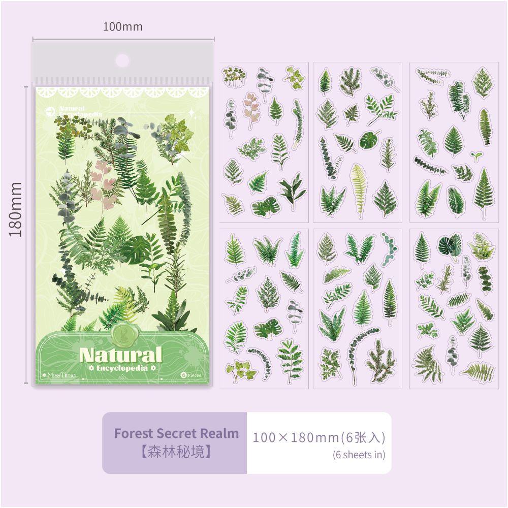 Plant series PET Stickers 6 Sheets 6 types image 5