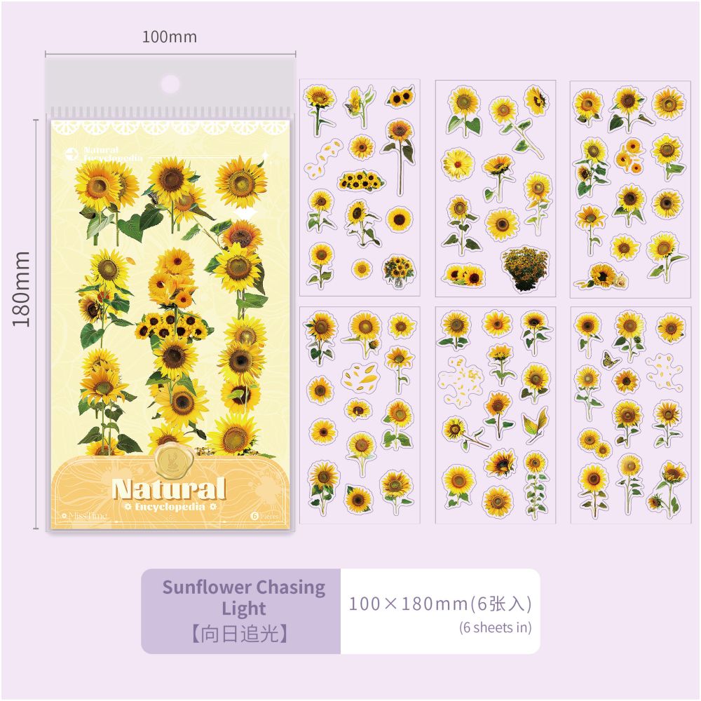 Plant series PET Stickers 6 Sheets 6 types image 6