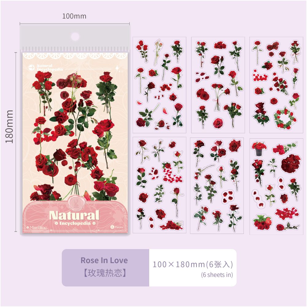 Plant series PET Stickers 6 Sheets 6 types image 8