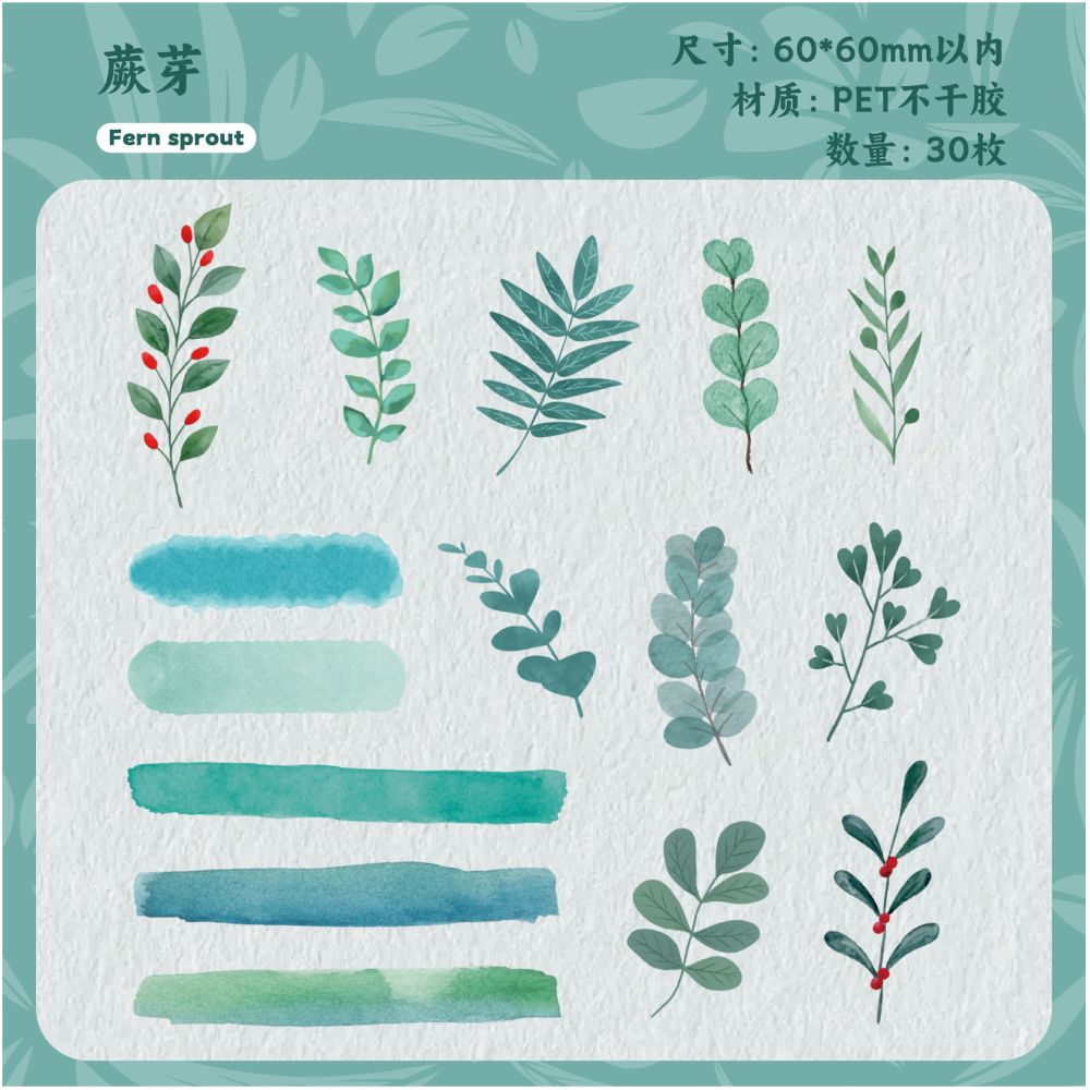 Whispers Series  PET Sticker Pack 6 Types 30 Pcs