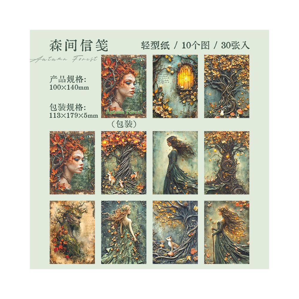 Retro autumn dream series material paper 6 Styles 30 Sheets image 5