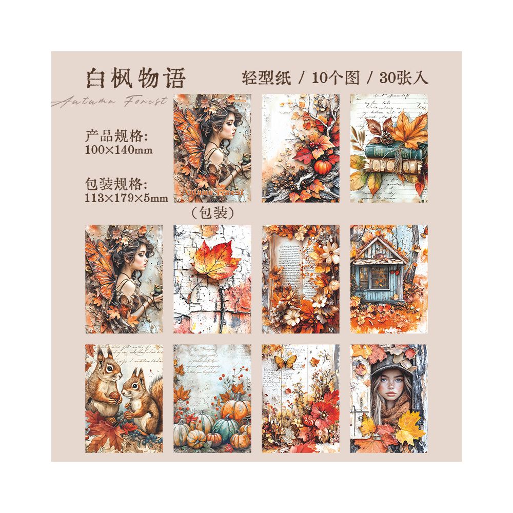 Retro autumn dream series material paper 6 Styles 30 Sheets image 6