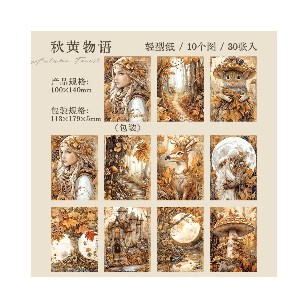 Retro autumn dream series material paper 6 Styles 30 Sheets image 7