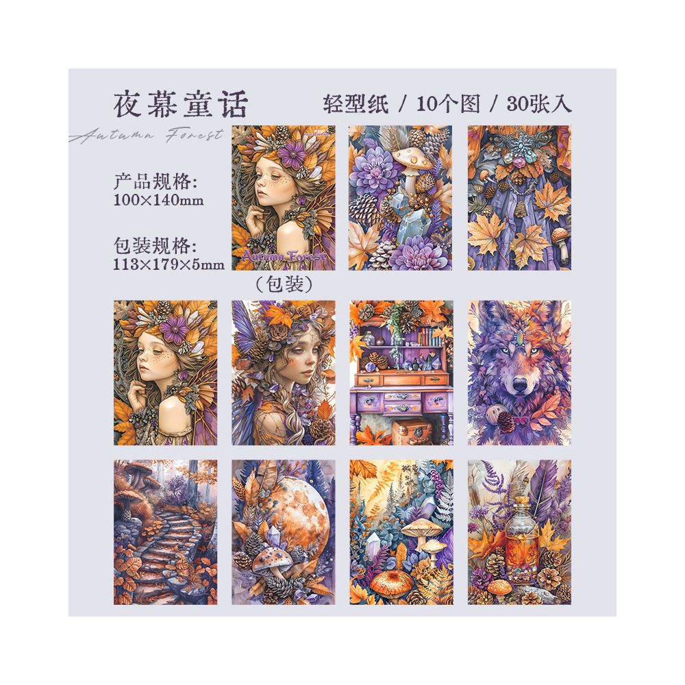 Retro autumn dream series material paper 6 Styles 30 Sheets image 8
