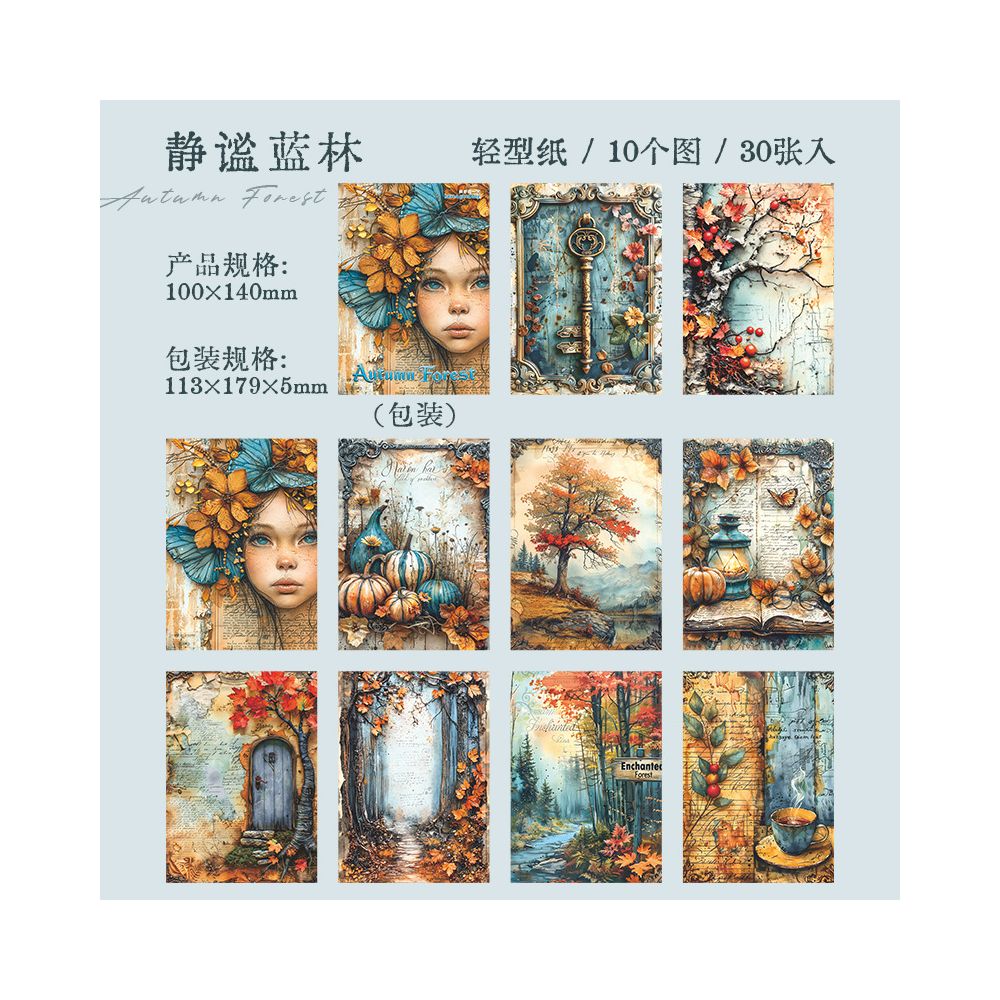 Retro autumn dream series material paper 6 Styles 30 Sheets image 9