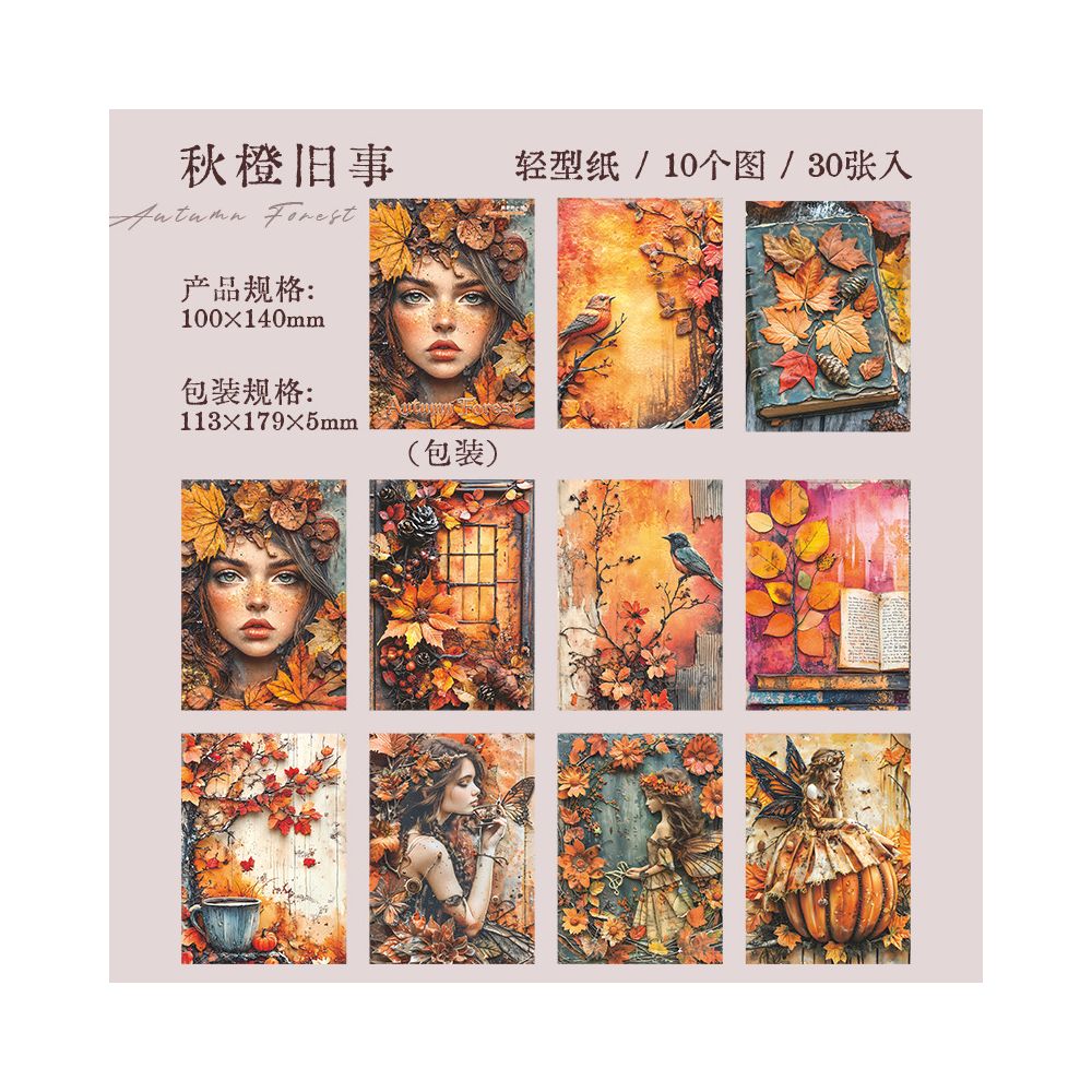 Retro autumn dream series material paper 6 Styles 30 Sheets image 10