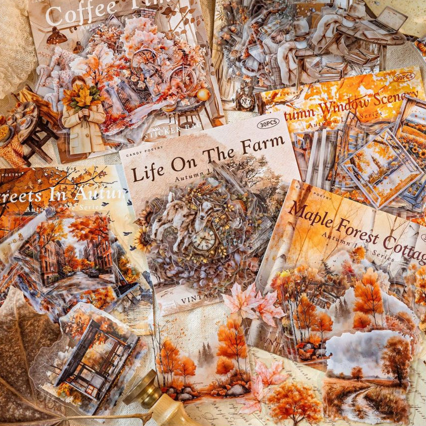 Autumn Life Series PET Stickers 6 Styles 30 Pcs image 0