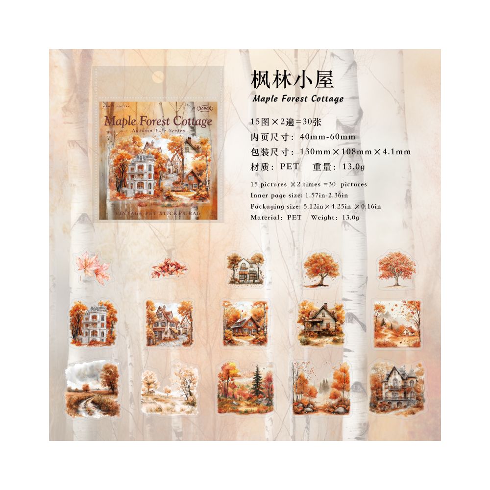 Autumn Life Series PET Stickers 6 Styles 30 Pcs image 9