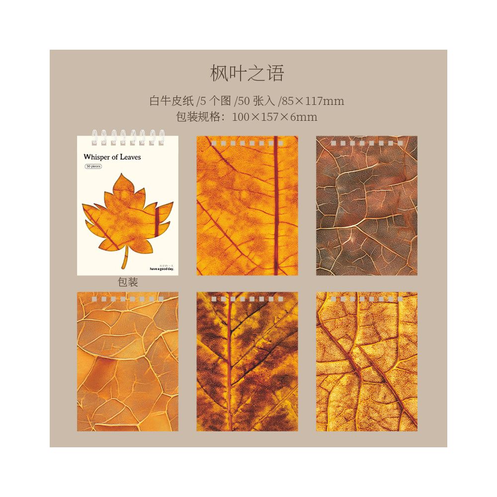 Autumn Leaf Series Material Paper 6 Styles 50 Sheets image 5