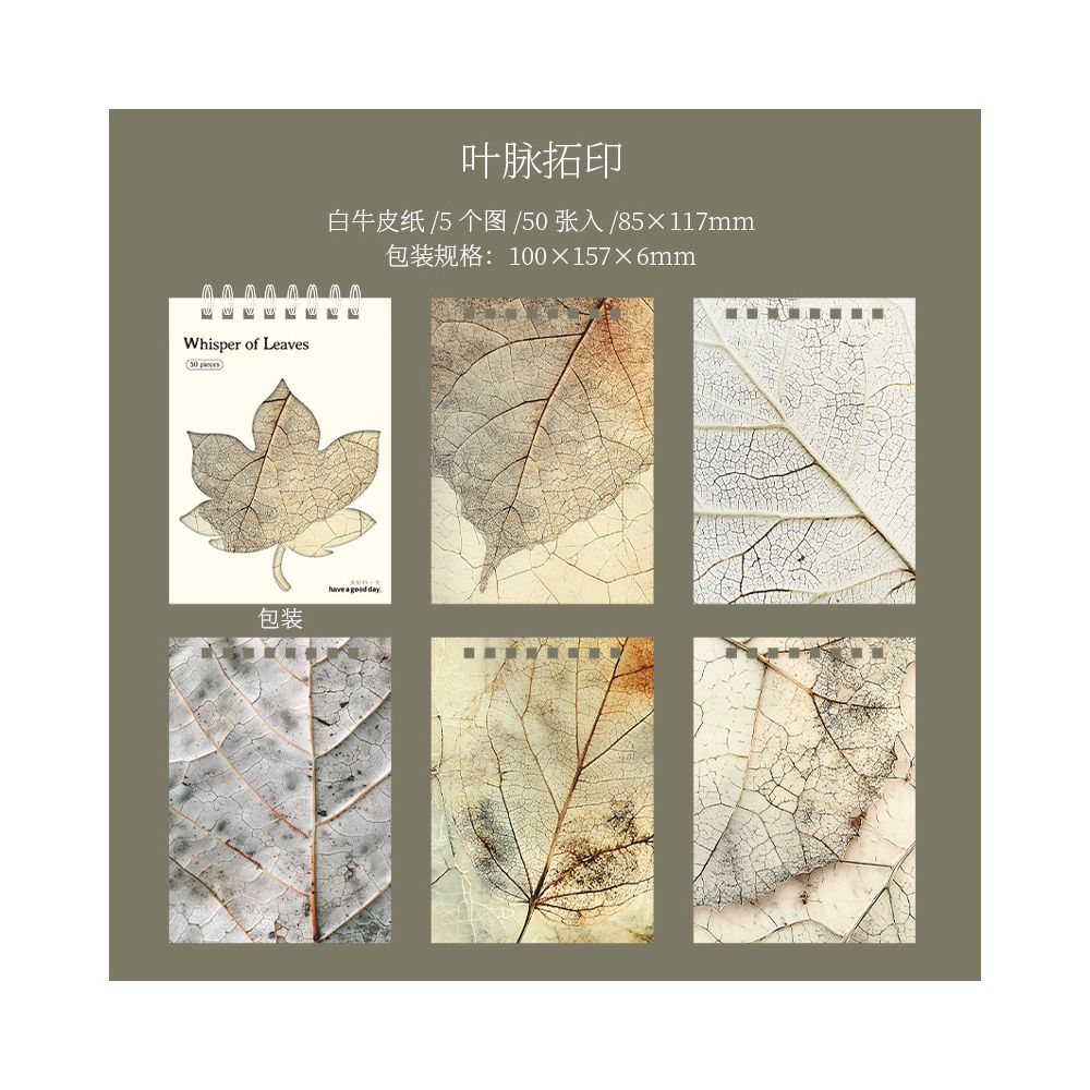 Autumn Leaf Series Material Paper 6 Styles 50 Sheets