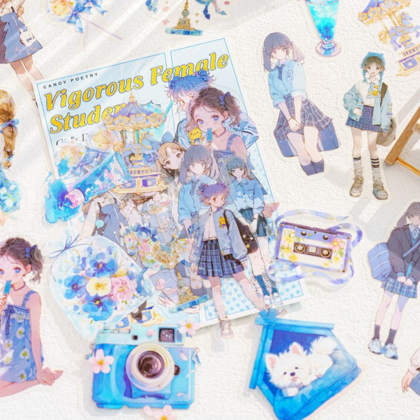 Girl s Daily Series PET Stickers 6 Styles 40 Pcs image 1