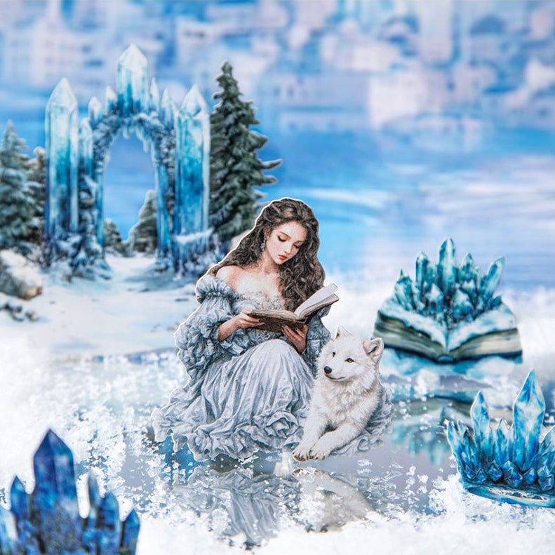 Magical Winter Diary Series PET Stickers 4 Styles 25 Pcs image 0