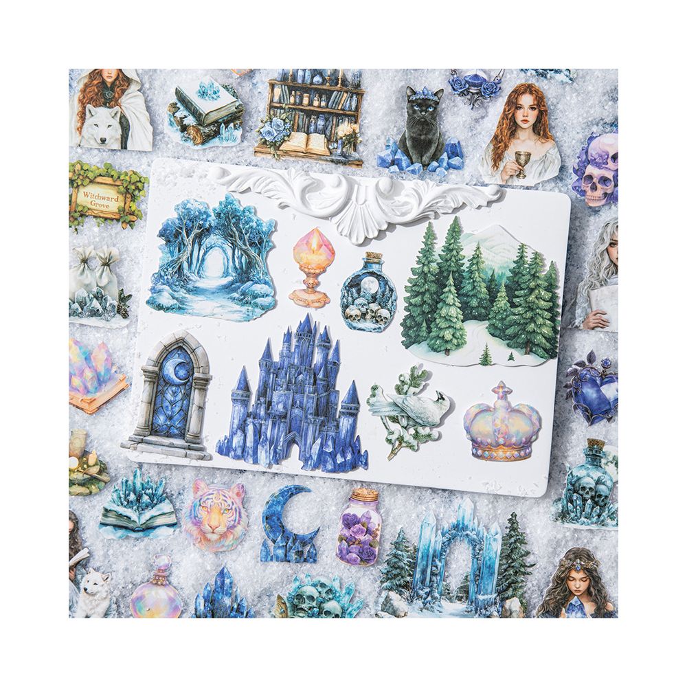 Magical Winter Diary Series PET Stickers 4 Styles 25 Pcs image 2