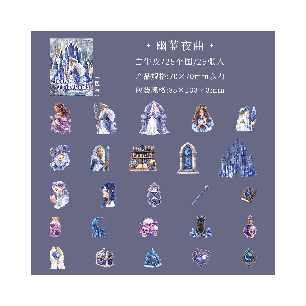 Magical Winter Diary Series PET Stickers 4 Styles 25 Pcs
