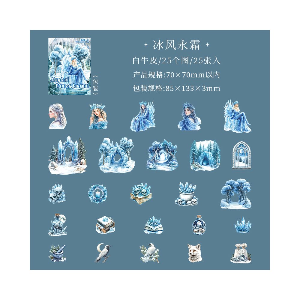 Magical Winter Diary Series PET Stickers 4 Styles 25 Pcs